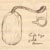Silk cocoon sketch thumb
